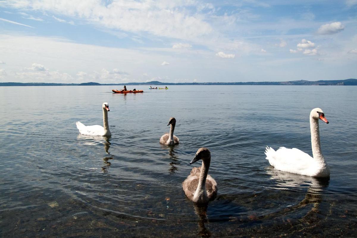 L'antica Fattoria Agroturismo Bolsena